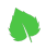 artykuly-leaf-5